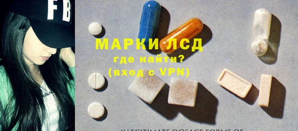 шишки Ветлуга